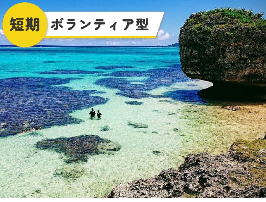 【中古】「非常に良い」投資の神様2012年3集夏号 39連勝! 「相場の福の神」が教えるザクザク株投資術 | 藤本 誠之 |本