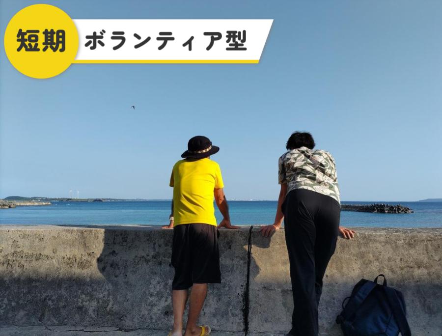 島まーる】☆宮古島発着☆サトウキビの休耕畑を観光農園に育てていく