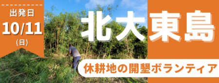 10/11北大東島・休耕地の開墾ボランティア